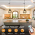 Lightess Outdoor Chandelier for Gazebo Lights Battery Operated, Black Battery Powered Hanging Light Pendant Waterproof
