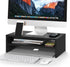 BONTEC Wooden Monitor Stand Riser, 2-Tier Desk Shelf with Storage Organizer, Ergonomic