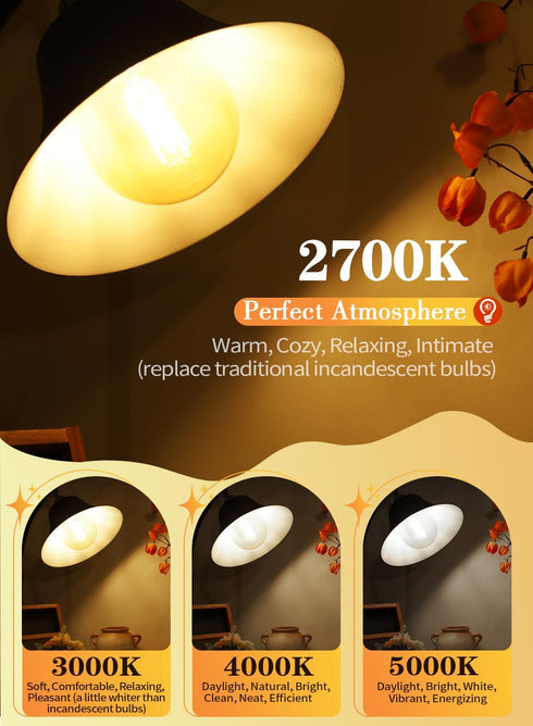 10W Dimmable Bulb 80W 800 2700K E26 G125 G40 Bulb OMAYKEY Large LED Globe Equivalent Lumens, Warm White Medium Base
