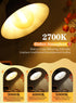 10W Dimmable Bulb 80W 800 2700K E26 G125 G40 Bulb OMAYKEY Large LED Globe Equivalent Lumens, Warm White Medium Base