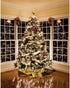 Novelty Lights 35 LED 11.5FT Christmas String Lights, Weatherproof LED String Lights with Shatterproof Bulbs