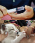 1ml / 1cc Pipette Syringe, 50pcs Plastic Syringes with Luer Slip Tip for Pets Oral, Refilling, Oil or Glue Applicator