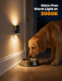 2-Pack Dimmable 90Rotatable 0-100LM 3000K 1W fesnne Night Light, Plug-in Night Light with Plug, Adjustable Brightness