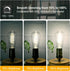 ST58 Edison Bulbs, 12 Pack, 60 Watt LED, 5000K Vintage Light Bulbs, E26 Dimmable Plastic 600ML