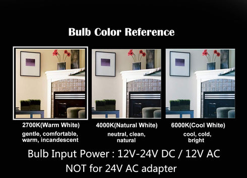 DC 12V-24V Low Voltage Input LED Bulb, Classic A19 Style, 6W 600Lm, Dimmable E26 Medium Base, 2 Pack
