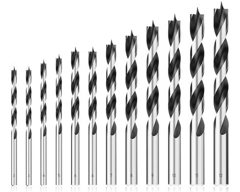 Metric Brad Point Wood Drill Bit Set, 12Pcs with Double Flutes for Carpenter Woodworking (3mm - 12mm)