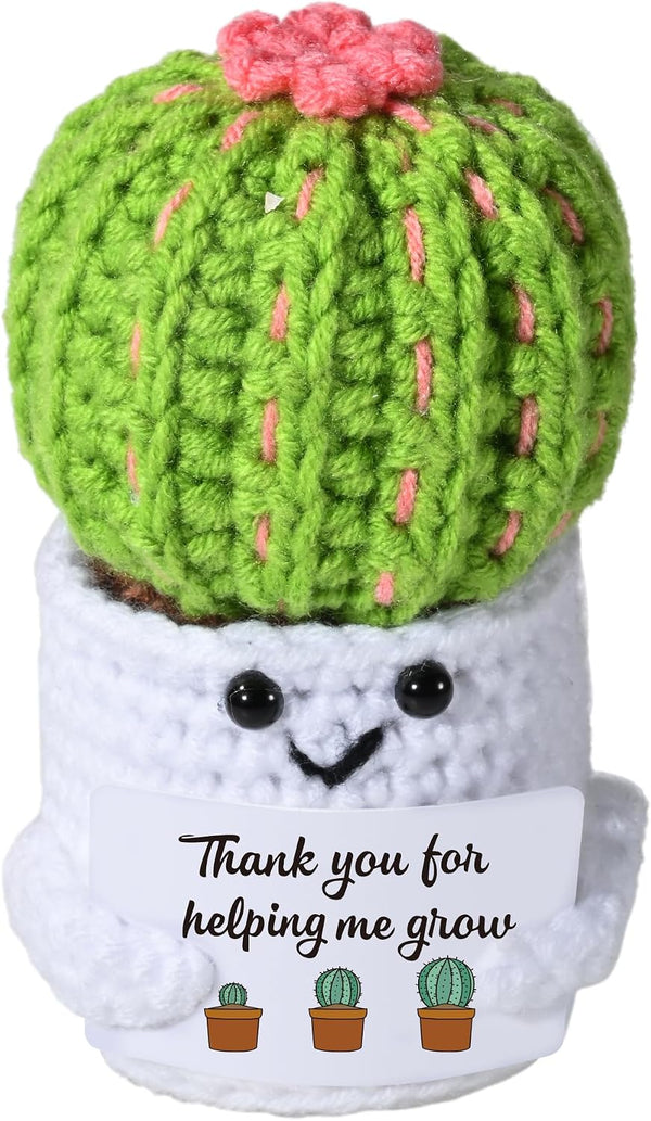 AIVCQZE Appreciation Gifts for Teacher,Handmade Knitted Cactus Thank You for Helping Me Grow,Teacher's