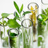 Glass Test Tubes, Sturdy Round Bottom Clear Lab Tubes (100, 12x75 mm)