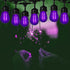 15 Pack 2W S14 LED Bulbs, Purple Christmas Replacement Bulb, E26 Base, Plastic Decorative for Outdoor Decor