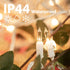 50 Count Decorations10ft Brightown Warm White Christmas Lights, Clear Mini Incandescent Lights on White Wire, Christmas