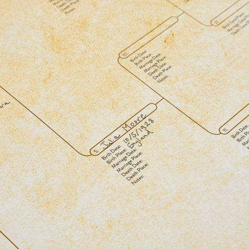 Okuna Outpost 15 Pack Family Tree Charts to Fill In, Off-White Poster Paper, 8 Generation Genealogy Charts