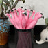 MIAO YUAN 20PCS Cute Pink Flamingo Gel Pens, Black Ink, Great Party and School Supplies for Child and Women