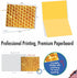 The Best Card Company 10 Assorted Blank Notes Box Set 4 x 5.12 Inch with Envelopes (10 Designs, 1 Each) - Boxed
