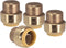 4-Pack 3/4-Inch PushFit End Cap, Push-to-Connect Brass Plumbing Fitting for Copper, PEX, CPVC