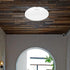 22.7cm HEMOTON Ceiling Light Shade Replacement for Wall Sconce and Ceiling Fixture, Plastic Clip-on Lampshade