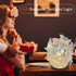 Butterfly ambiance Lamp, Bedside Decorative Small Table lamp, DIY Butterfly Lamp, Battery Powered Night Light, Gift