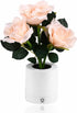 WSYEAR Forever Flower Touch Lamp, Dimmable Table Rose Lamp for Bedroom Living Room, Birthday Gifts for Her