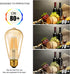 Bulb ST21 Bulb 8W(60 Dimmable 2500K E26 Cover,6 Pack LVWIT Vintage Edison Light LED Filament Watt Equivalent) (Amber
