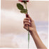 25pcs KALLORY Tubes for Fresh Flowers Lightweight Water Tubes for Florist Arrangements for Roses Carnations