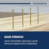 Nail Assortment 250-Pieces, 4 Sizes Assorted Nails Kit for Wood and Drywall, Brass Plated Finish