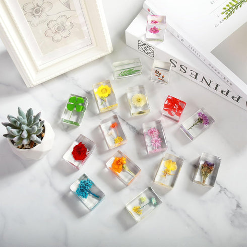 ABURRORI 16 Paperweights16 Pcs Flower Insect in Resin Specimen Bugs Collection Styles Real Flower Specimen Bug Kit