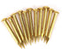 HEEPDD 100Pcs Brass Escutcheon Tacks - Round Head Hardware Nail Assortment Kit for Furniture
