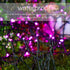 YAOZHOU 2 Pack 144ft 400LED 8 IP44 Valentines Day Solar Christmas String Lights Outdoor Pink Fairy Lights with Modes