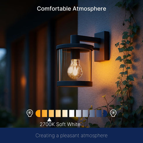 A19 Bulbs,8W (100W 1400LM,Vintage E26 2700K 2 Pack FLSNT Dusk to Dawn Outdoor Sensor LED Edison Eqv.), Filament Base