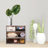 Ciieeo Desk Organizer with 4 Drawers - Clear Plastic Storage Box for Office Supplies, Pens, Markers, Cosmetics