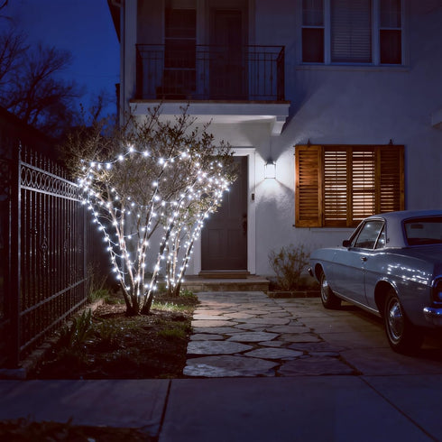 100 Commercial 35 LED White Christmas Lights, UL Certified and Grade White Wire String Lights FT, for Indoor