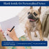 Five Jays Fly 24 Pack, 5 7 Baby Shower Thank You Cards with Envelopes and Stickers for Dog Owners - x Card Stock