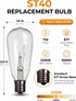 10 Pack ST40 Bulbs 7W E17 Bulbs Replacement for Outdoor String Lights, Intermediate Base Clear Incandescent Edison