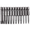 Torx Screwdriver Bit Set, PTSLKHN S2 Steel Magnetic Security Tamper Proof Star 12PCS Tools, 1/4" Hex Shank
