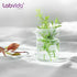 6pcs 50ml Upgraded Thick Glass Beakers, Beaker Shot Glasses Set, 3.3 Boro Griffin Low Form