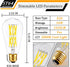 16W Dimmable ST64 LED Bulbs, 5000K Daylight White, E26 Base, Clear Glass, 1920 Lumen, Pack of 4