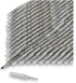 BIC Round Stic Ballpoint Pen, Translucent