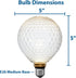 Festive Living 5" G125 Bulb 2700K 3 E26 IP54 Celeste Glow LED Glass Globe for Pendants and Patio Strings, Warm White