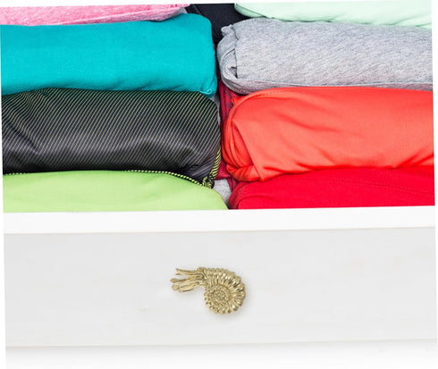 MAGICLULU Vintage Brass Nautilus Shape Drawer Pull Solid Brass Cabinet Handle for Cabinets and Bedside Tables Unique