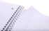 Mintra Office Durable Spiral Notebooks - 5 Subject, Red, Wide Ruled, 200 Sheets, Poly Pockets, Moisture Resistant Cover