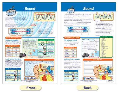 NewPath Learning Light & Sound Bulletin Board Charts, Set/2 - Laminated, Double-Sided, Full-Color, 12" x 18" (94-9005)
