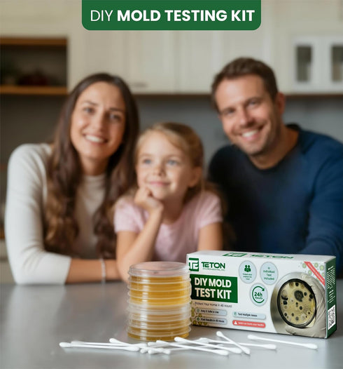 Teton Environmental, Inc. 10 Mold Test Kit Test Different Areas in Home, Swab Sample and Air Sample, Easy-to-Use Guide