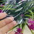 Silicone Film High Temp Thin Rubber Sheet Gasket, Super Clear 11.8" (Approx. 12x19.7 x1/32 inch)