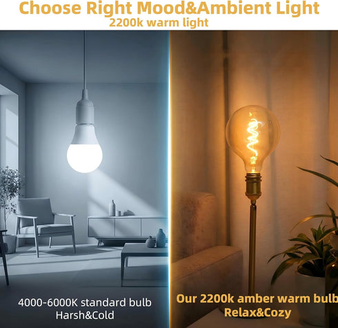 G125/G40 Bulb 2200K Dimmable Bulb,6W E26 Bulb 1Pack Large Vintage Oversized LED Edison Amber Glass Warm White Light