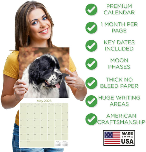 Newfoundland Calendar 2025 2026 - Dog Breed Monthly Wall Calendar, 12 x 24 Open, Thick No-Bleed Paper
