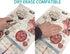 Female Reproductive Anatomy Educational Poster