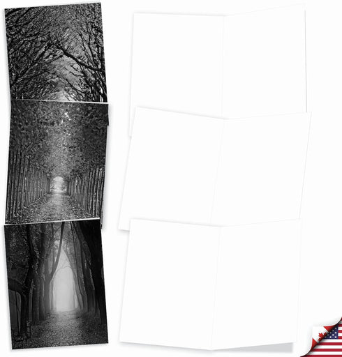 The Best Card Company - 10 Blank Note Cards with Envelopes, 4 x 5.12 Inch, Black & White Photos Set