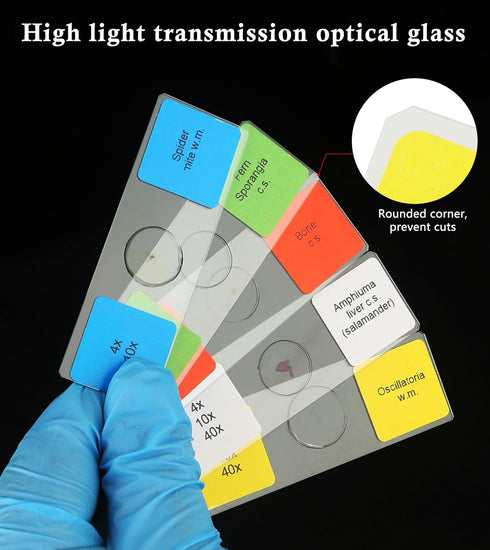 DIY-SCIENCE 120 Set, Microscope Slides with Specimens Lab-Grade Prepared Microscope Slides for Kids Adults