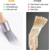 3 Pcs Small Trim Brush 0.75 Inch, Round Paint Brush for House Wall Edges and Wooden Furniture Coloring