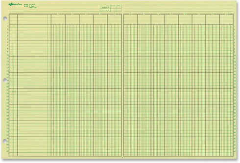 National Analysis Pad, 13 Columns, Green Eye-Ease Paper, 50 Sheets, 11" x 16.375"