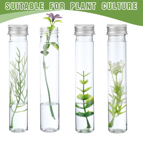 Dandat 80 Pcs 65ml Clear Flat Plastic Test Tubes with Screw Caps for Sample Testing and Party Favors